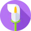Flowers icon 64x64