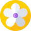 Flowers icon 64x64