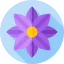 Flowers icon 64x64