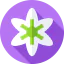 Flowers icon 64x64