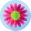 Flowers icon 64x64