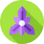 Flowers icon 64x64