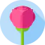 Flowers icon 64x64