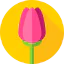 Flowers icon 64x64
