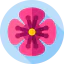 Flowers icon 64x64