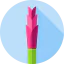 Flowers icon 64x64