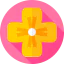 Flowers icon 64x64