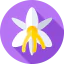 Flowers icon 64x64