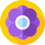 Flowers icon 64x64