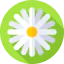Flowers icon 64x64