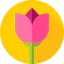 Flowers icon 64x64