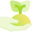 Sprout ícone 64x64