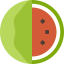 Watermelon icon 64x64