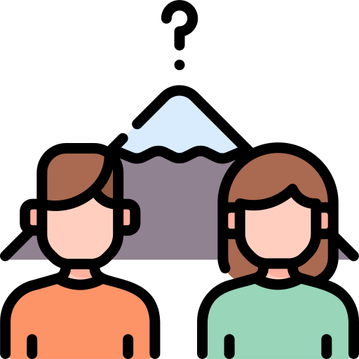 Election icon