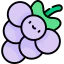 Grapes icon 64x64