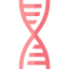 Dna icon 64x64