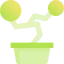 Bonsai іконка 64x64