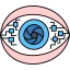 Ar icon 64x64