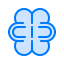 Мозг иконка 64x64