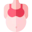 Pregnancy icon 64x64
