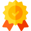 Validation icon 64x64
