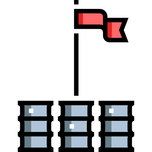 Flag icon