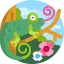 Chameleon icon 64x64