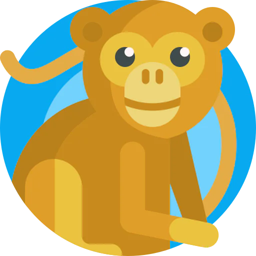 Monkey icon