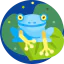 Frog icon 64x64