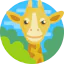 Giraffe Ikona 64x64
