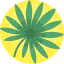 Palm icon 64x64