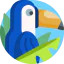 Toucan icon 64x64
