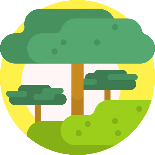 Tree icon