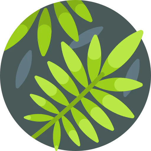Fern icon