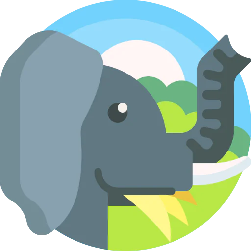 Elephant icon