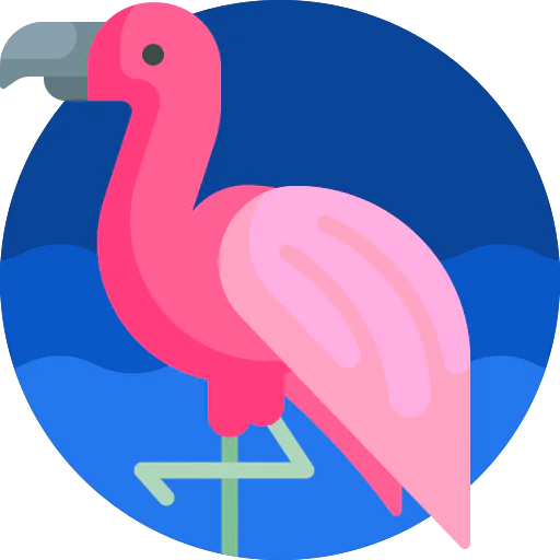 Flamingo icon