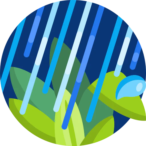 Rain icon