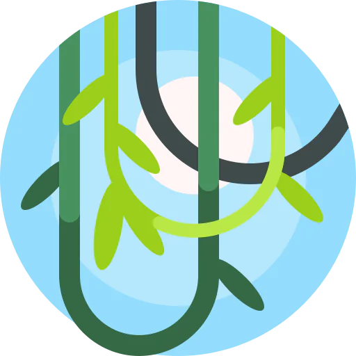 Vines icon