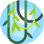 Vines icon 64x64
