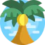 Palm tree icon 64x64