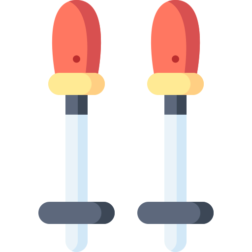 Ski icon