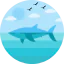 Whale icon 64x64