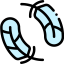 Feather Symbol 64x64