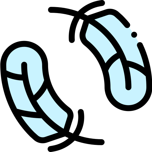Feather icon