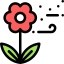 Flower icon 64x64