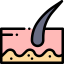 Skin icon 64x64