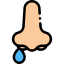 Runny nose icon 64x64
