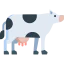 Cow icon 64x64