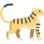 Тигр иконка 64x64