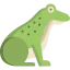 Frog icon 64x64